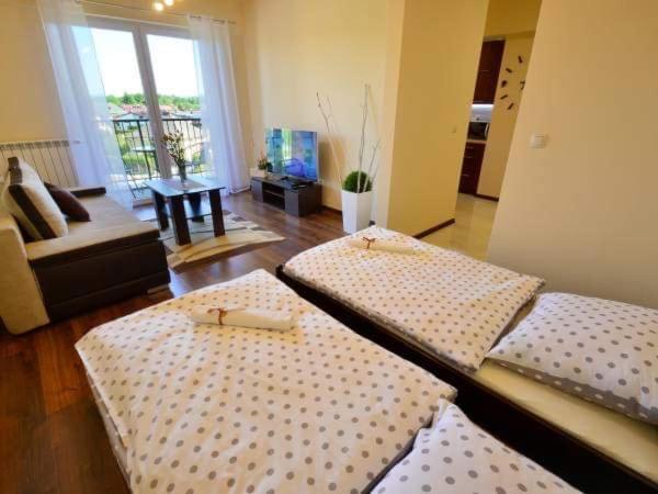 Апартаменти Apartament Antonio Затор Екстер'єр фото
